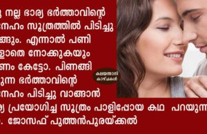 ഭർത്താവിന്റെ സ്നേഹം പിടിച്ചുപറ്റാൻ ഭാര്യ പ്രയോഗിച്ച സൂത്രം പാളിപ്പോയ കഥ!