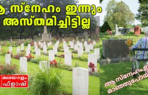 സിമിത്തേരിയിൽ ഞാൻ കണ്ട ഏറ്റവും സുന്ദരമായ കാഴ്ച!!