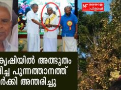 ജാതികൃഷിയിൽ അത്ഭുതം സൃഷ്ടിച്ച പുന്നത്താനത്ത് വർക്കി അന്തരിച്ചു.