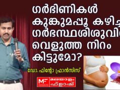 പൈനാപ്പിൾ കഴിച്ചാൽ ഗർഭം അലസിപ്പോകുമോ? ഗർഭിണികൾ അറിഞ്ഞിരിക്കേണ്ടത് ഇതെല്ലാം..