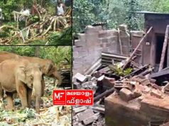 മൃഗങ്ങളുടെ കരച്ചിലിൽ ഹൃദയം നോവുന്നവർക്ക് എന്തേ കർഷകന്റെ കരച്ചിലിൽ മനസ് നോവാത്തത് ?