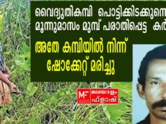 മൂന്നുമാസം മുൻപ് പൊട്ടിവീണു കിടന്ന വൈദ്യുതികമ്പിയിൽ നിന്ന് ഷോക്കേറ്റ് കര്ഷകന് മരിച്ചു