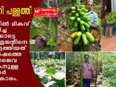 ആന്റണി പള്ളത്ത്: കൃഷിയില് മികവ് തെളിയിച്ച ആലക്കോട്ടെ പത്രം ഏജന്റിനെ തേടി എത്തിയത് ഈ വർഷത്തെ മികച്ച ജൈവ കർഷകനുള്ള സർക്കാർ പുരസ്കാരം.