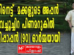 പതിനെട്ട് മക്കളുടെ അപ്പൻ വെച്ചൂച്ചിറ പിണമറുകിൽ കുട്ടിപ്പാപ്പൻ ഓർമ്മയായി