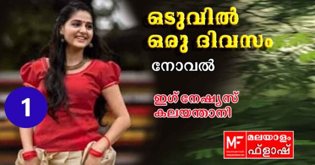 oduvil-oru-divasam-novel1