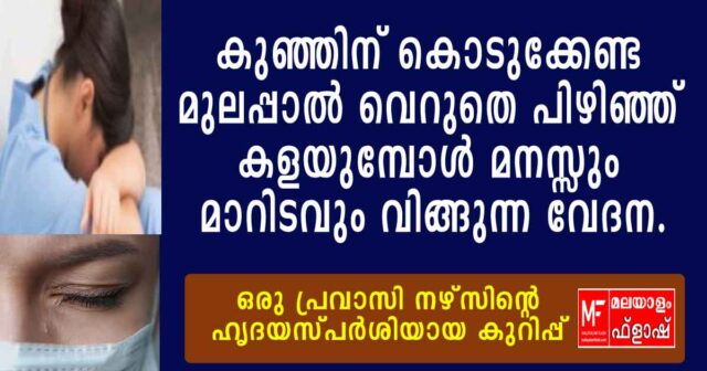 പ്രവാസ മാതൃത്വത്തിന്റെ വേദനകൾ എത്ര എഴുതിയാലും പറഞ്ഞാലും തീരില്ല.