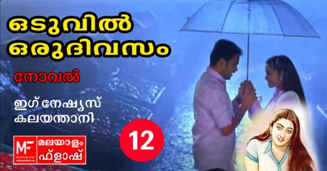oduvil-oru-divasam-12