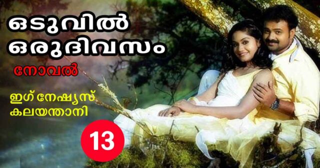 oduvil-oru-divasam-13