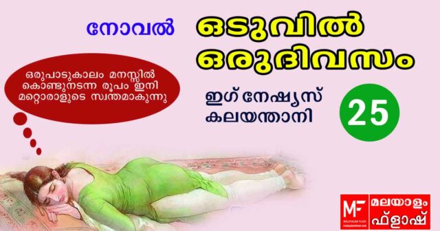 oduvil-oru-divasam-25