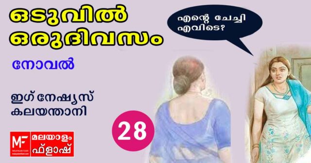 oduvil-oru-divasam-28