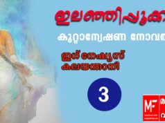 ഇലഞ്ഞിപ്പൂക്കൾ – കുറ്റാന്വേഷണ നോവൽ – ഇഗ്നേഷ്യസ് കലയന്താനി – അധ്യായം 3