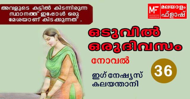 oduvil-oru-divasam-36