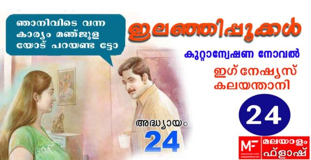 ilanjippookkal-novel24