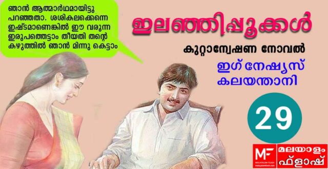 ilanjippookkal-novel29