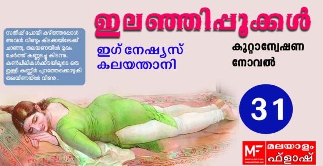ilanjippookkal-novel31