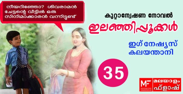 ilanjippookkal-novel35