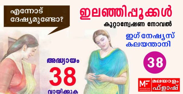 ilanjippookkal-novel38