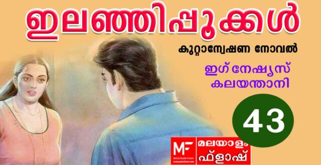 ilanjippookkal-novel43