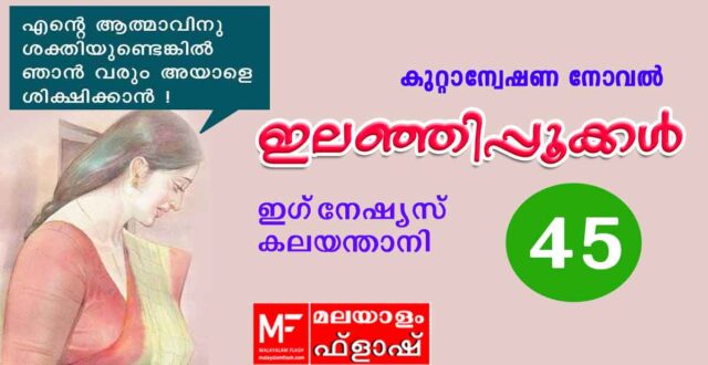 ilanjippookkal-novel45