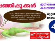 ഇലഞ്ഞിപ്പൂക്കൾ – കുറ്റാന്വേഷണ നോവൽ – ഇഗ്നേഷ്യസ് കലയന്താനി– അധ്യായം 48