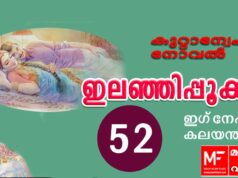 ഇലഞ്ഞിപ്പൂക്കൾ – കുറ്റാന്വേഷണ നോവൽ – ഇഗ്നേഷ്യസ് കലയന്താനി – അധ്യായം 52