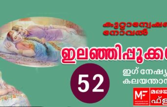 ഇലഞ്ഞിപ്പൂക്കൾ – കുറ്റാന്വേഷണ നോവൽ – ഇഗ്നേഷ്യസ് കലയന്താനി – അധ്യായം 52